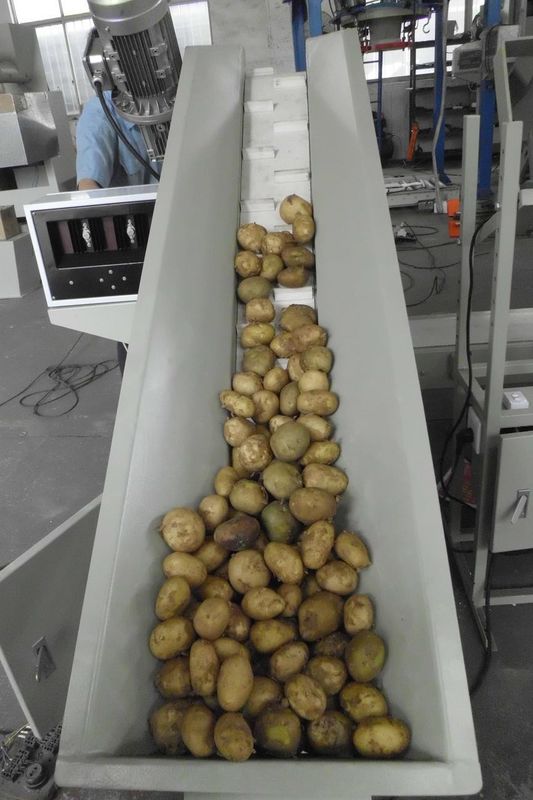 Máy đóng gói khoai tây tùy ý Máy đóng bao di động 2.5KW